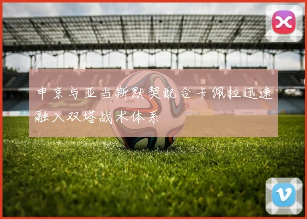 申京与亚当斯默契配合卡佩拉迅速融入双塔战术体系
