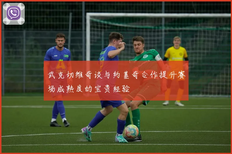 武克切维奇谈与约基奇合作提升赛场成熟度的宝贵经验