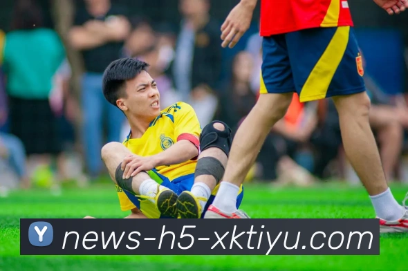 星空体育APP 高清赛事图